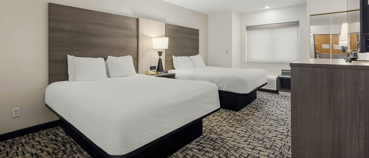 Spacious Standard Double Room Spacious Standard Double Room